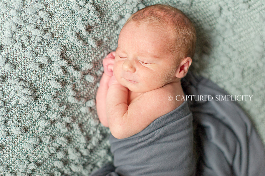 holiday photographs houston