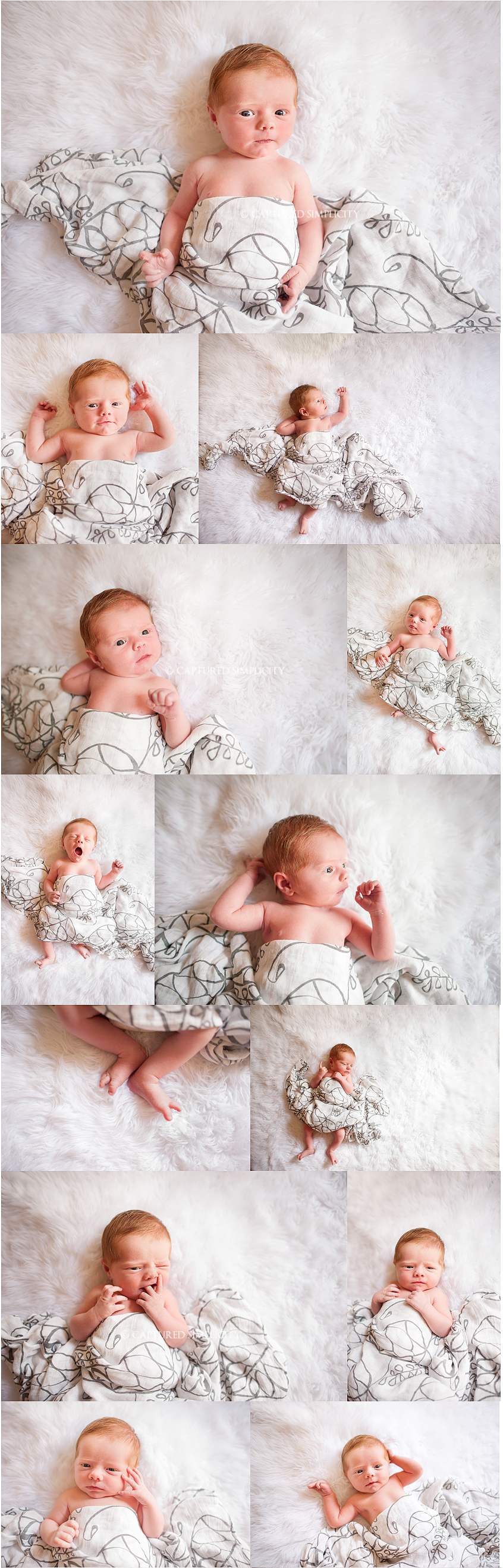 newborn portraits houston family photographers