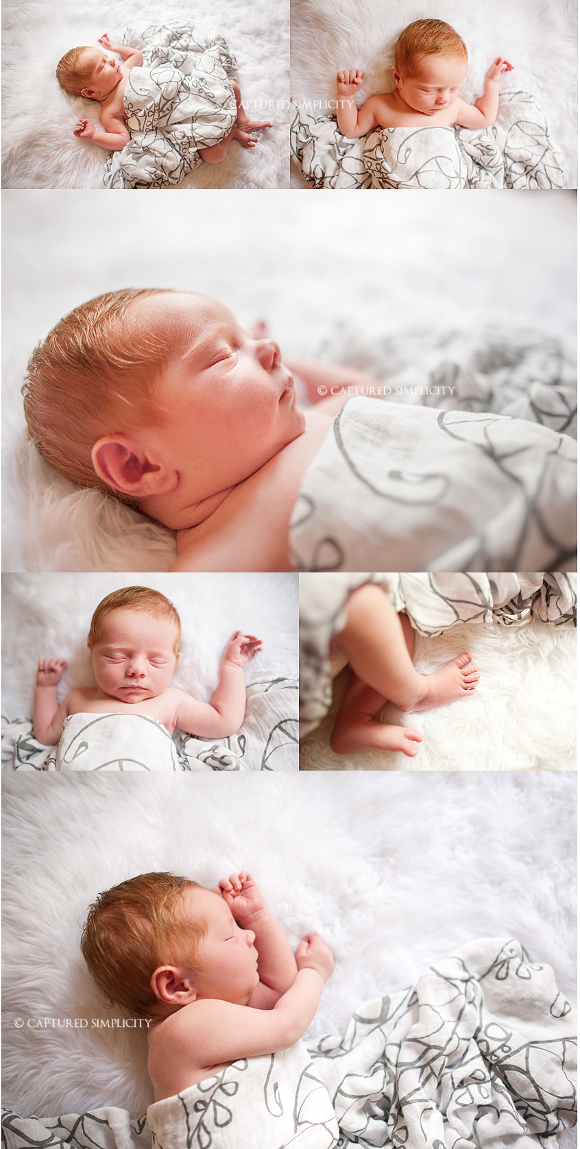 newborn baby photos houston tx Houston Newborn Photographer