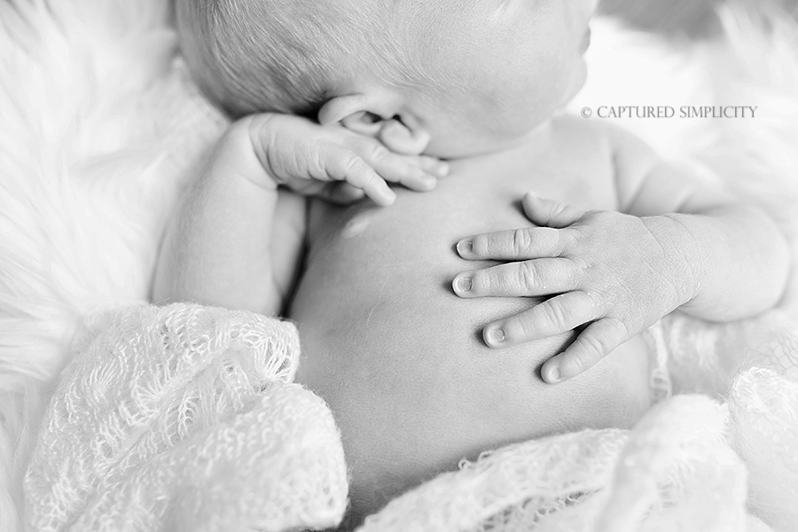 Julie Rogers 2013 Newborn (21)