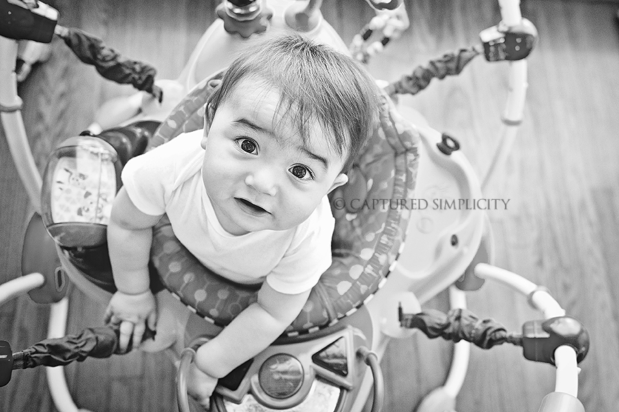 newborn photographers in houston