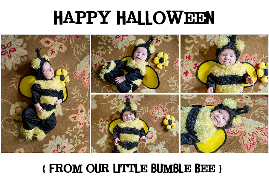 the woodlands tx kid's photographer 