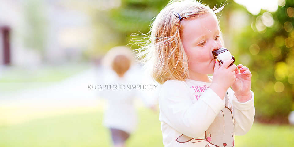 family photographer houston