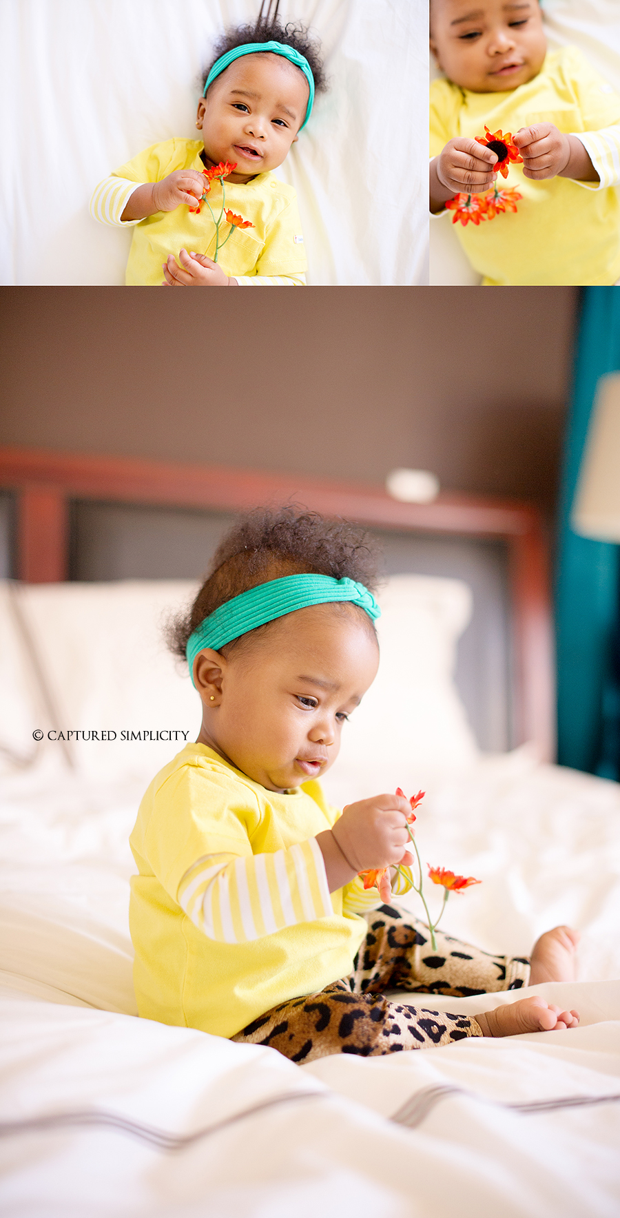 houston family photographers