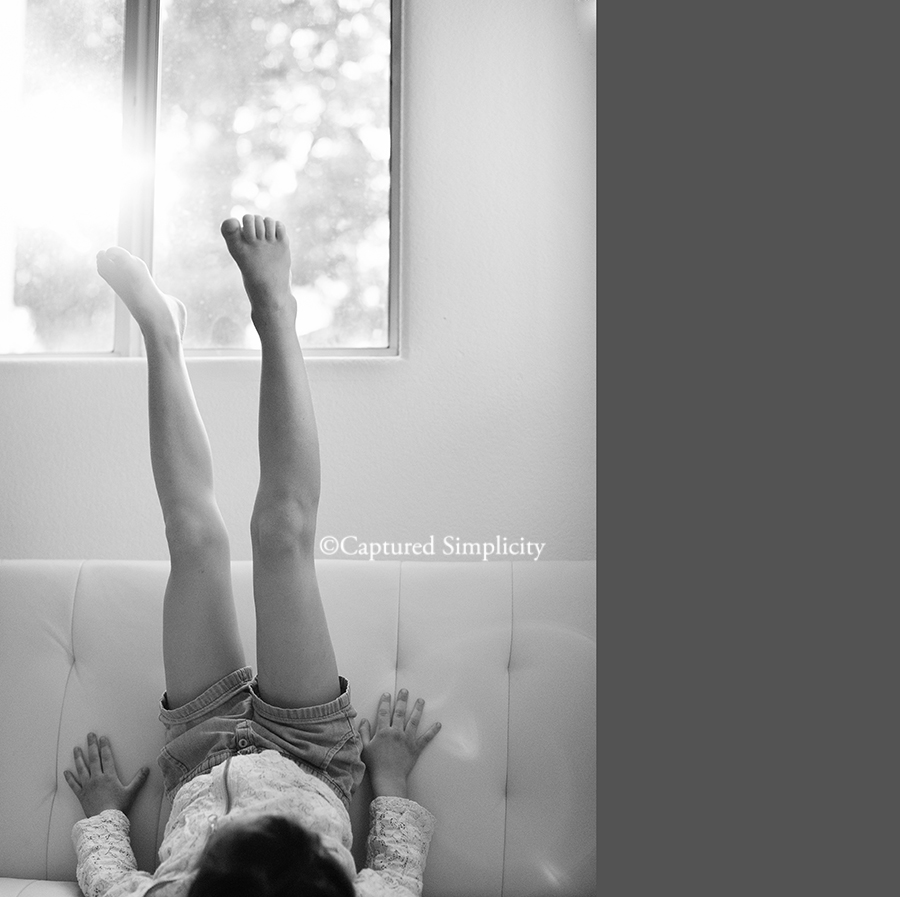 family photographer houston