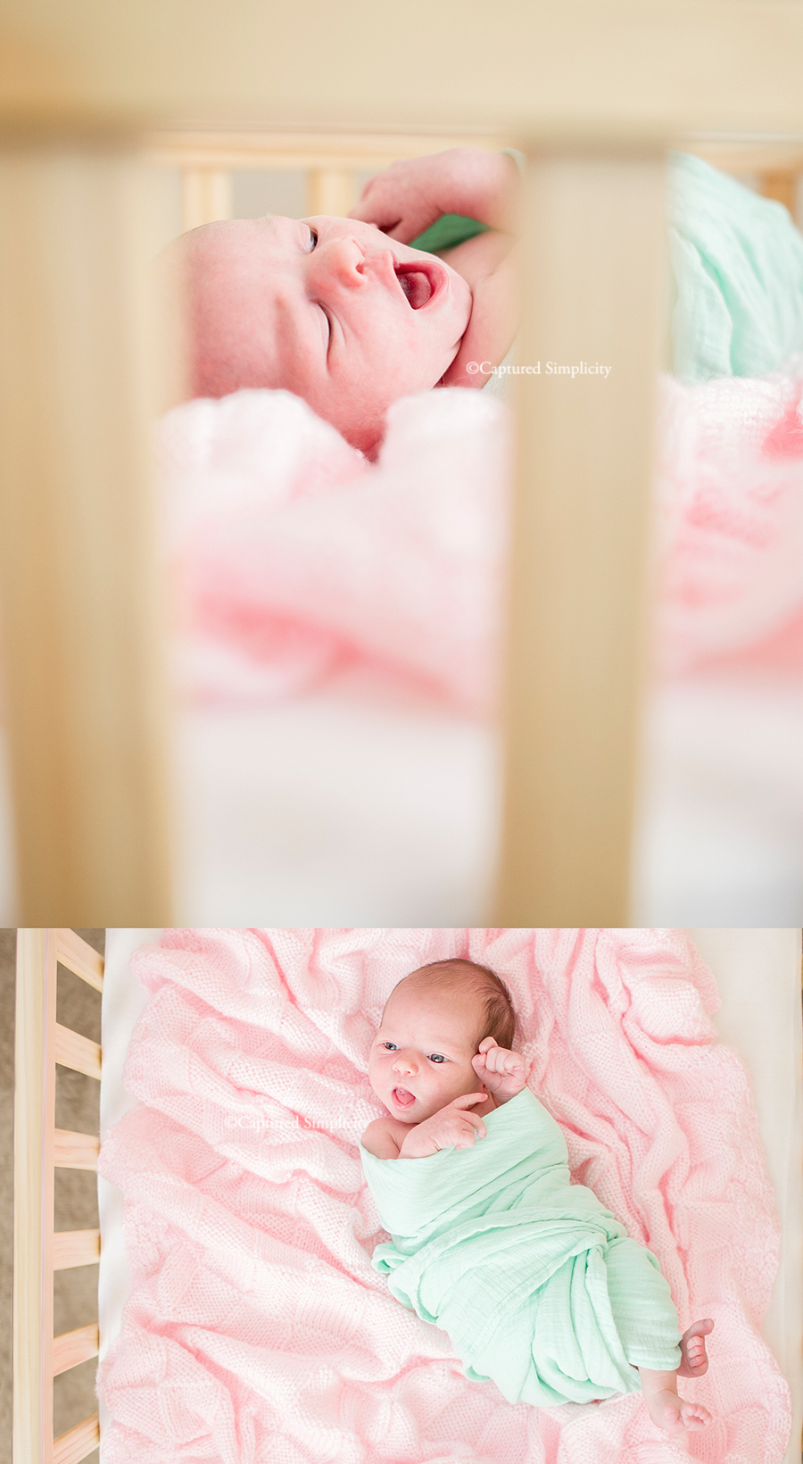 houston newborn photographer