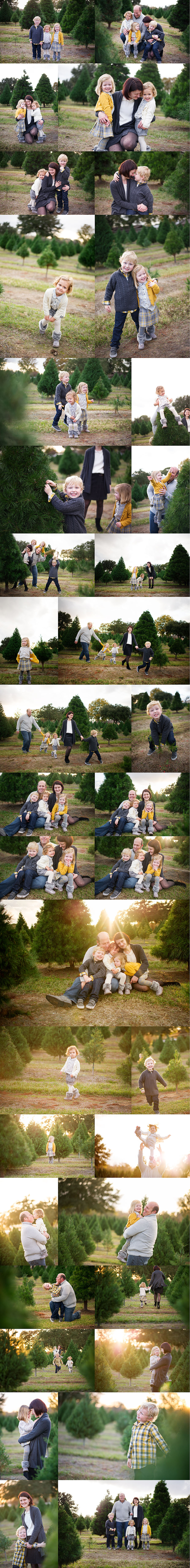 Houston Texas Christmas Tree Farm Family Photos