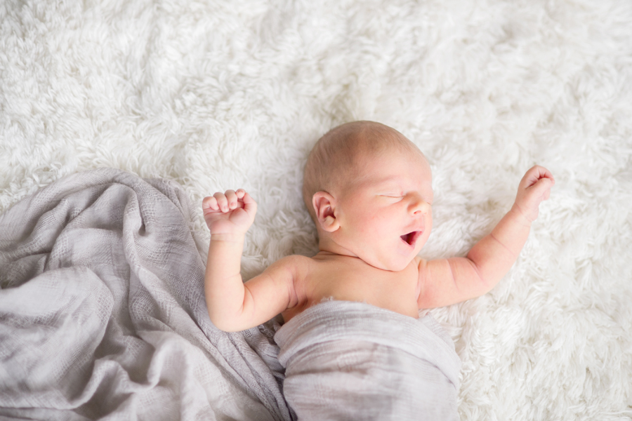 Newborn Photographer near Downtown Houston