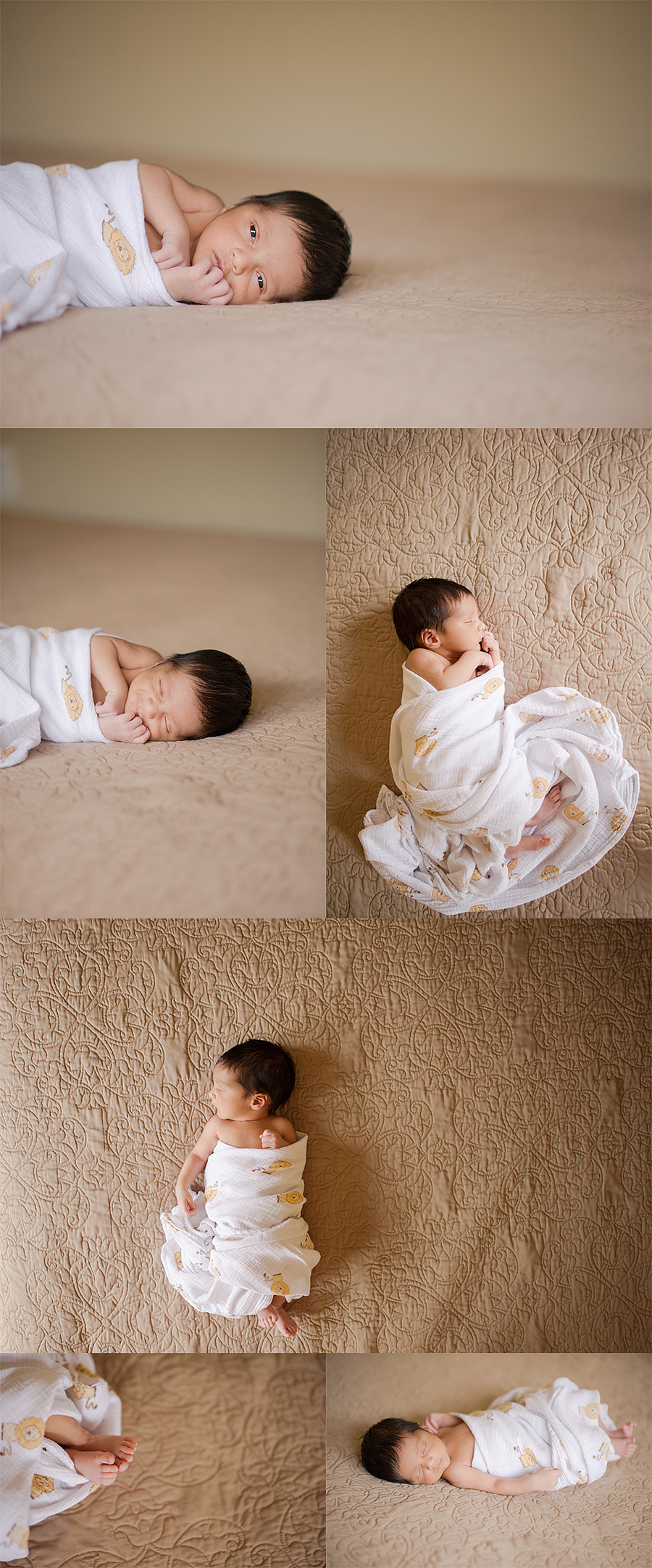 Baby Sibling Photographer Houston Texas