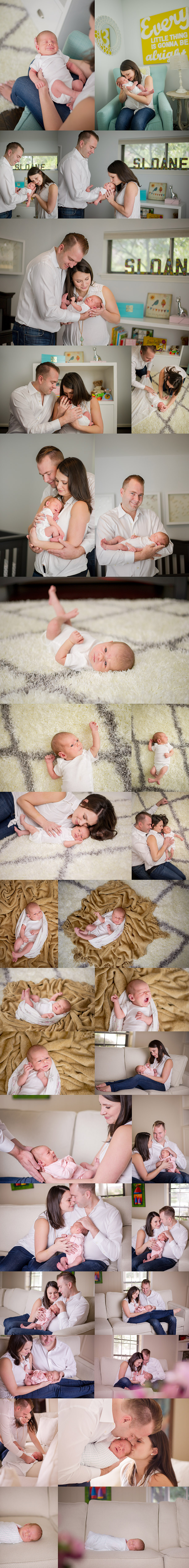 Newborn Photos Houston Area