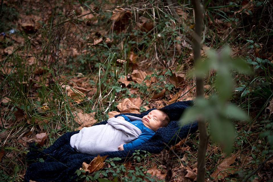 Newborn Photographers Houston Texas