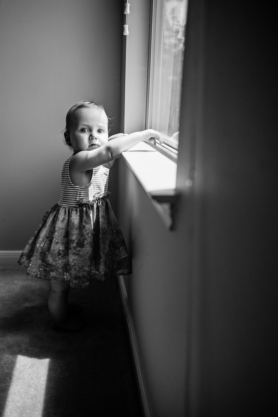 baby portraits houston