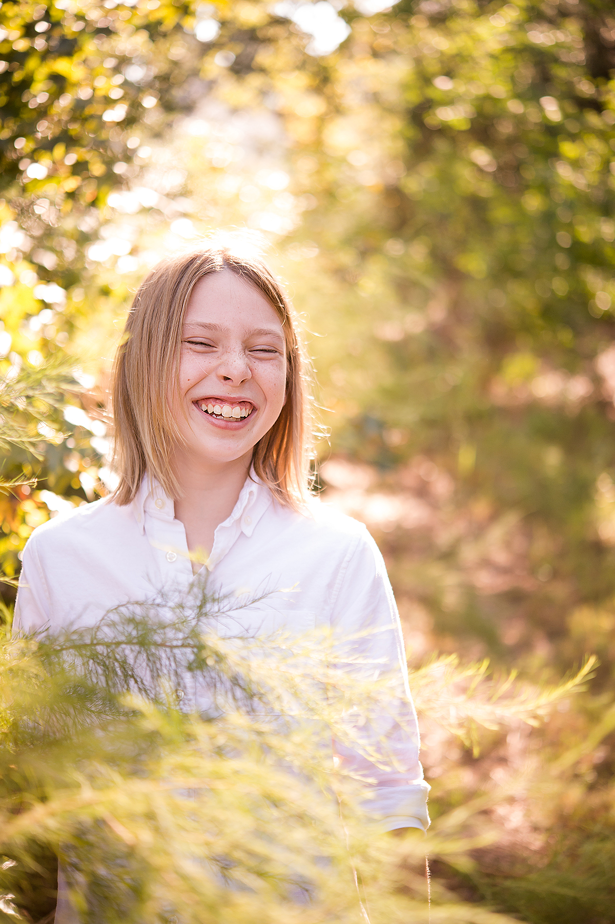 the woodland family portraits