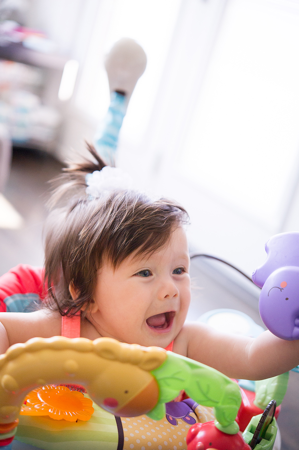 humble family photographer