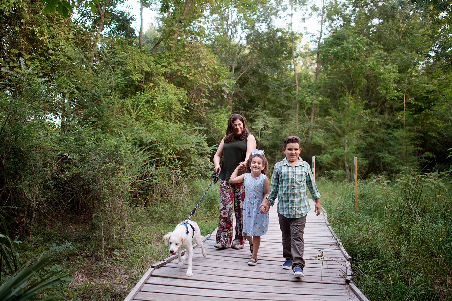 Vertebrate - Recreation